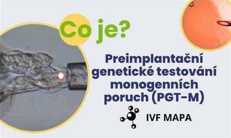 Infografika: Preimplantační genetické testování (PGT) a jeho fáze