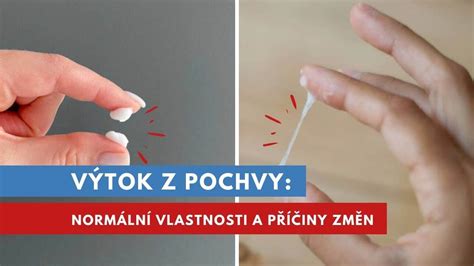 Schéma cesty spermií z pochvy k vajíčku - význam rychlosti a navigace