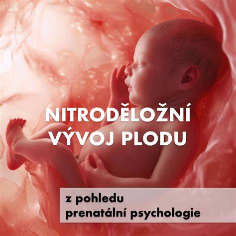 Infografika: Vliv prenatální expozice drog na vývoj plodu