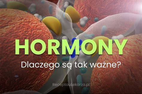 infografika: fáze klimakteria a hormony