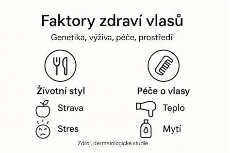 infografika: sexuální pachový podpis a faktory ovlivňující vůni