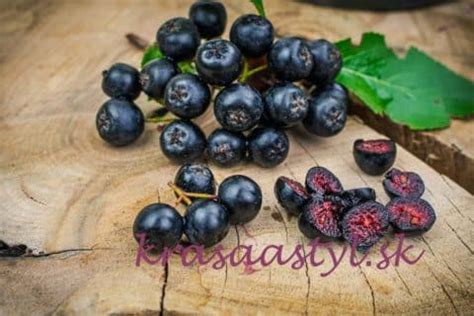 Fotografie různých produktů z aronie: čerstvé plody, sušené plody, džus, džem