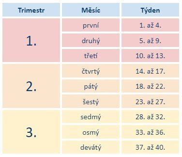 Tabulka s přehledem délky a hmotnosti plodu v jednotlivých týdnech těhotenství