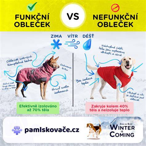 Infografika: Rozdíl mezi materiály košíků (proutěný vs. textilní) a jejich vhodnost pro měsíce věku