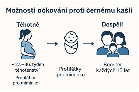 Infografika: Přehled očkování proti pertusi a hexavakcíny - schéma očkovacích dávek
