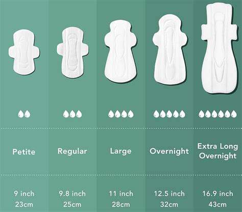infografika srovnávající velikost a savost poporodních vložek