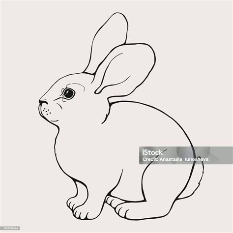 Ilustrace králíka a mikroskopu