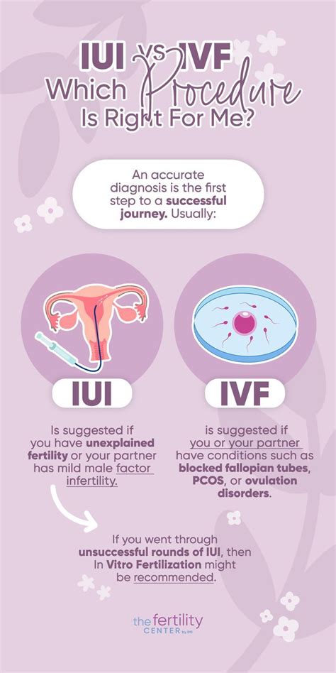 infografika porovnávající IUI a IVF