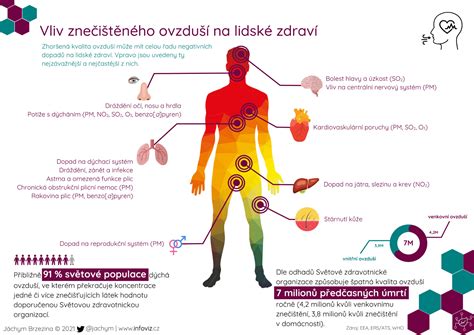 infografika znázorňující vazokonstrikci a její vliv na průtok krve