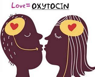 Infografika: Jak funguje oxytocin během porodu a bondingu